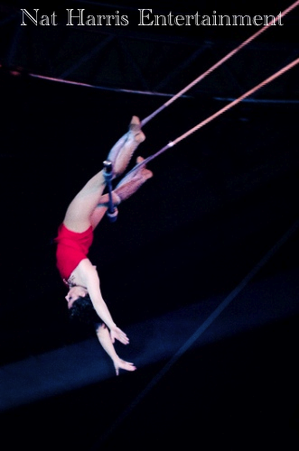 Kaely - Swinging Trapeze